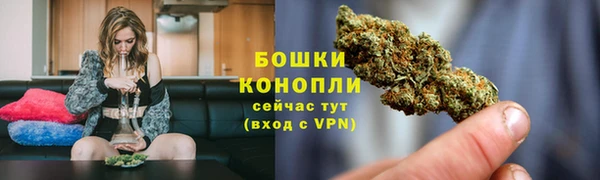 spice Нея