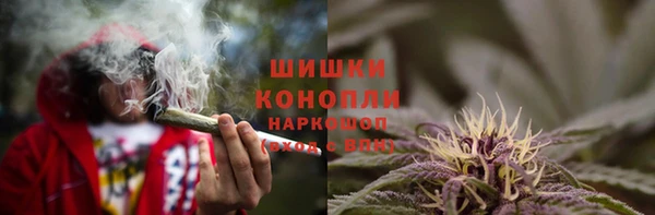 молекула духа Навашино