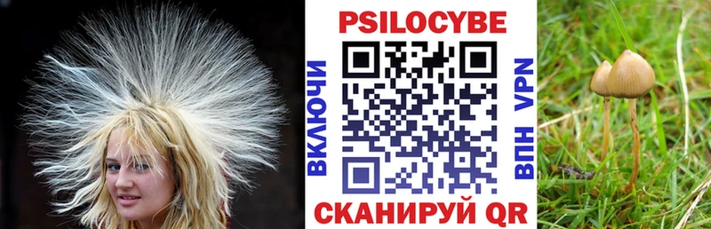 МЕГА   Луховицы  это как зайти  Псилоцибиновые грибы Psilocybe 