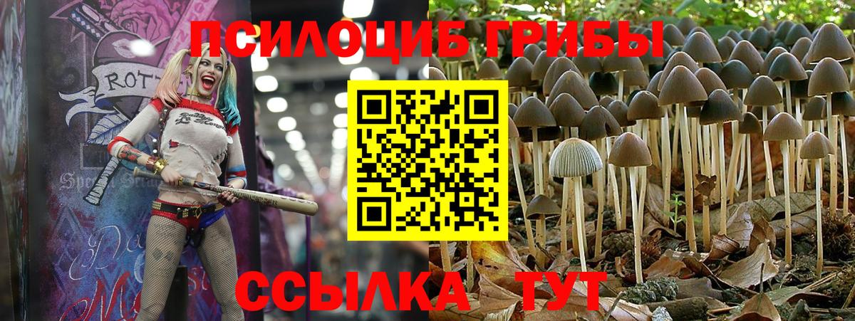 Луховицы  Галлюциногенные грибы Psilocybe  Вход с VPN  Галлюциногенные грибы мухоморы 