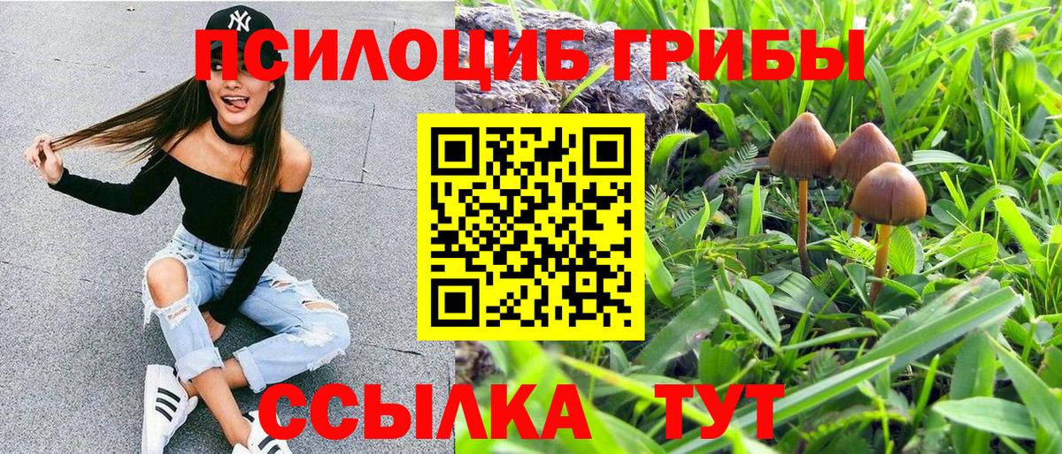 Псилоцибиновые грибы Psilocybine cubensis Луховицы