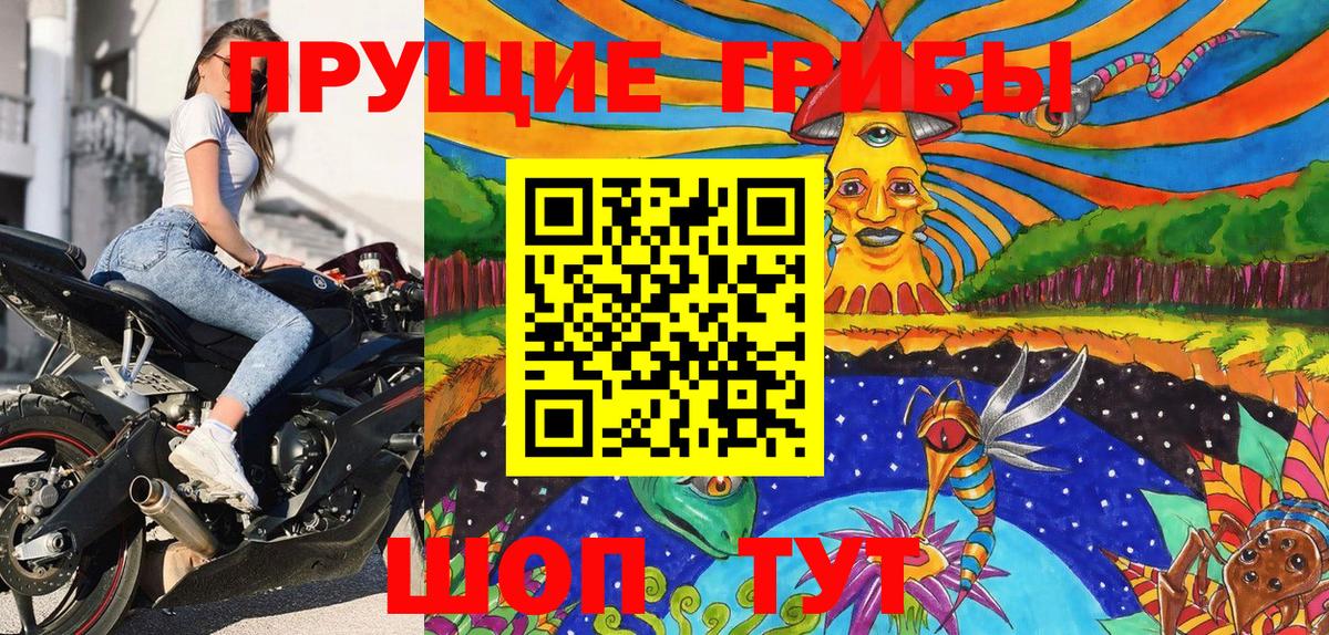 Псилоцибиновые грибы мицелий  Псилоцибиновые грибы Psilocybe  Луховицы 